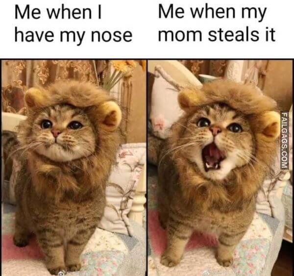 Random Funny Memes 13 4