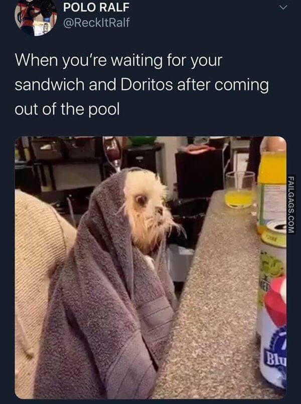 Random Funny Memes 14 1