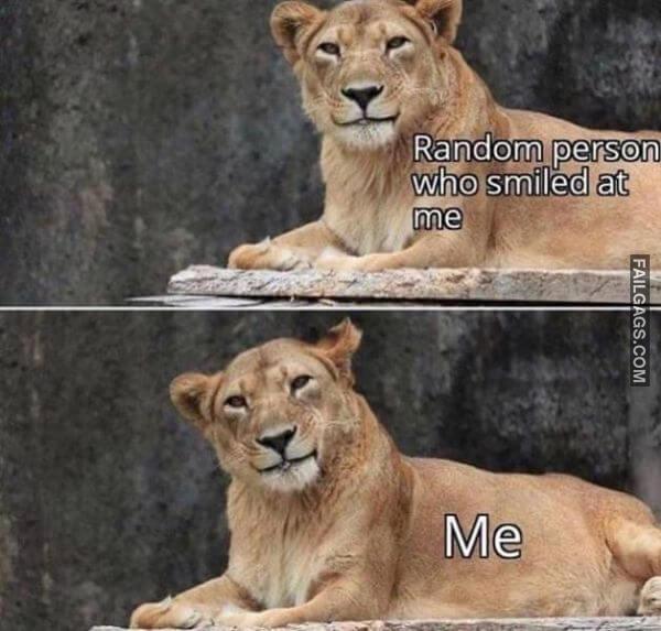 Random Funny Memes 14