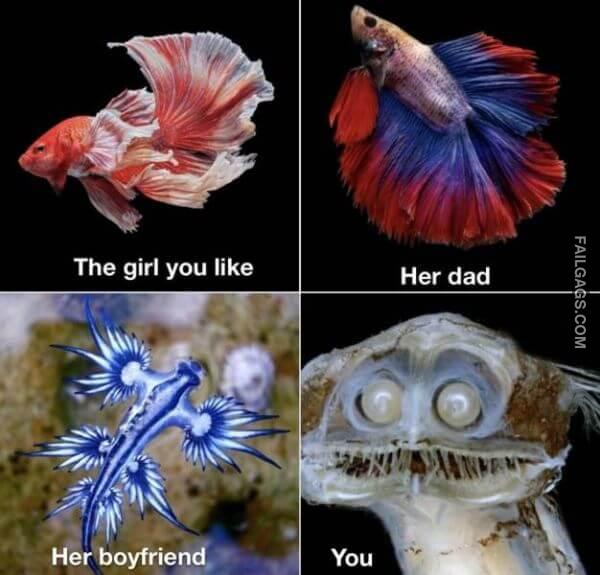 Random Funny Memes 15 3