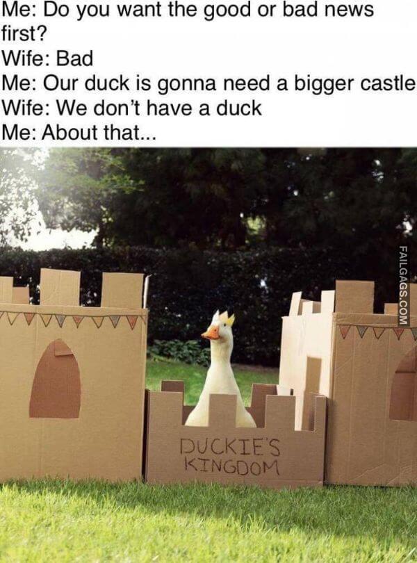 Random Funny Memes 15 4