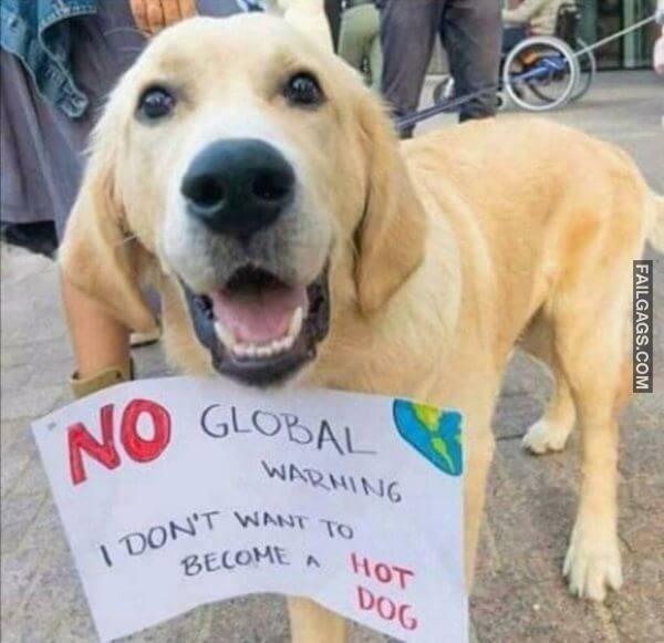 Random Funny Memes 16 5