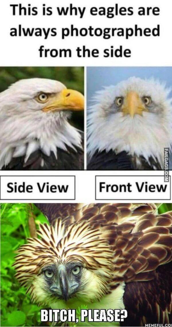 Random Funny Memes 16 7