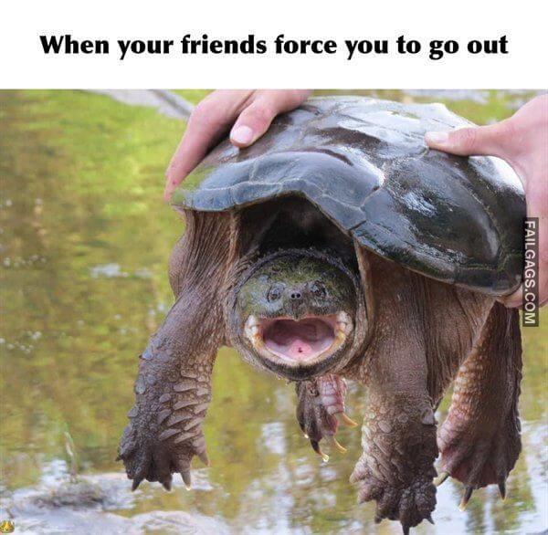 Random Funny Memes 17 5