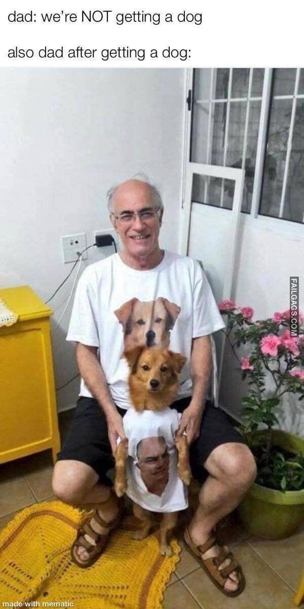 Random Funny Memes 18 5