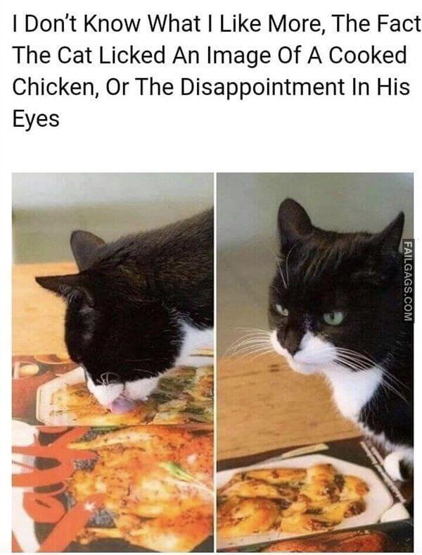 Random Funny Memes 18 8