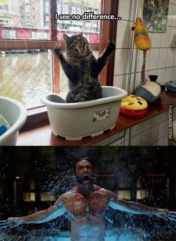 Random Funny Memes 22