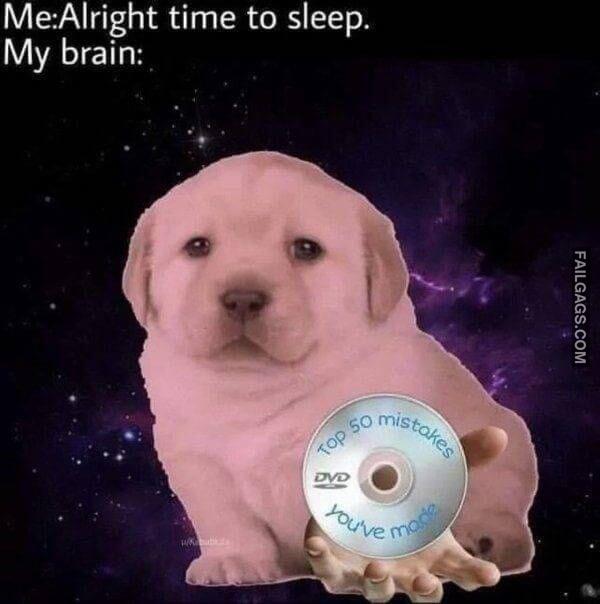 Random Funny Memes 3 7