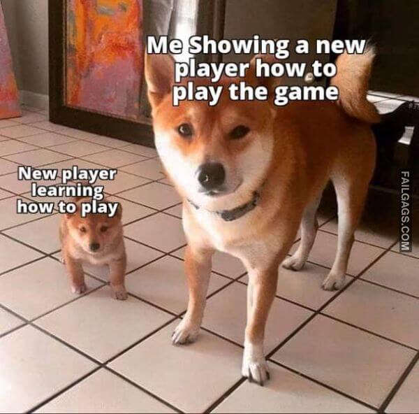 Random Funny Memes 4 1