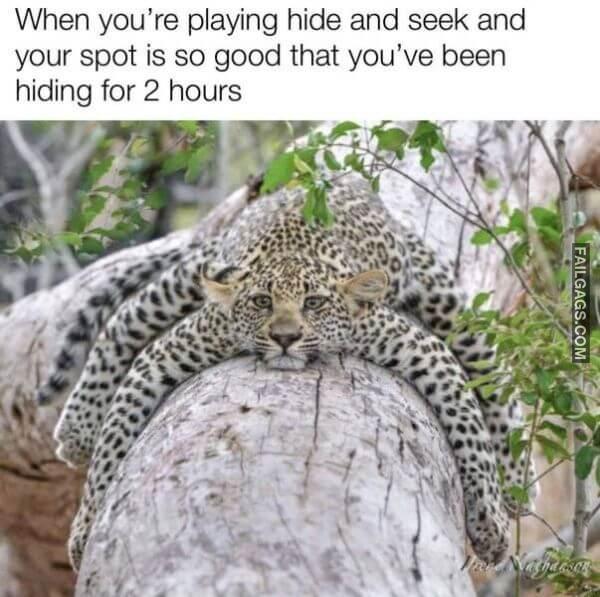 Random Funny Memes 5 5