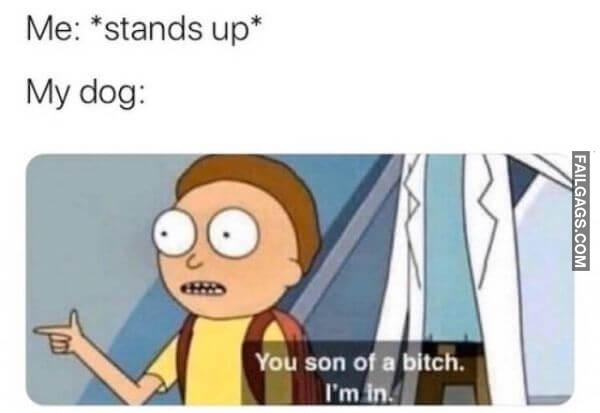 Random Funny Memes 9 2