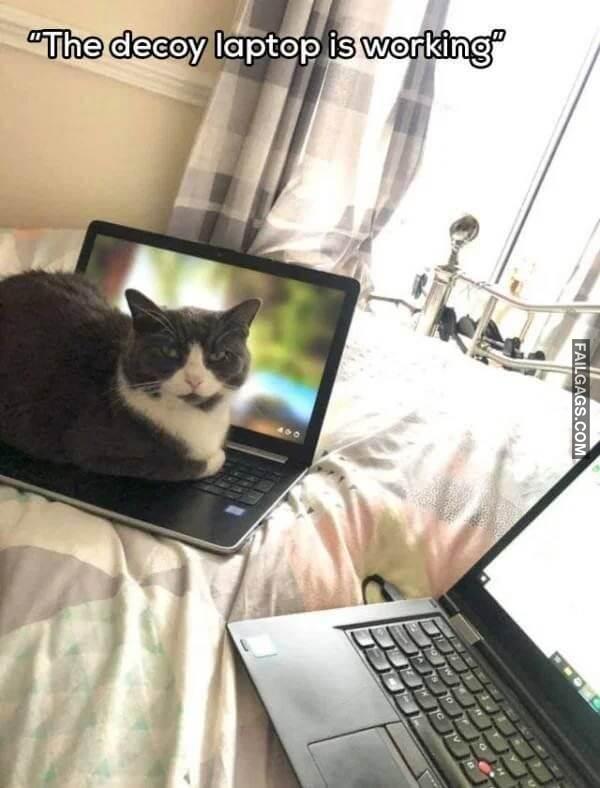 Random Funny Memes 9 3