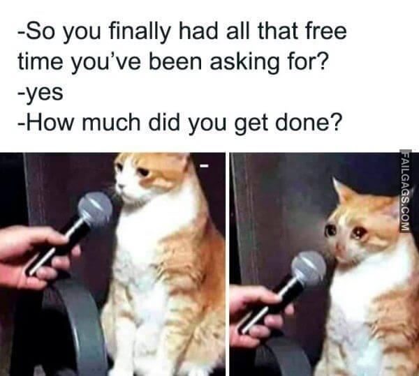 funny Coronavirus Memes 8