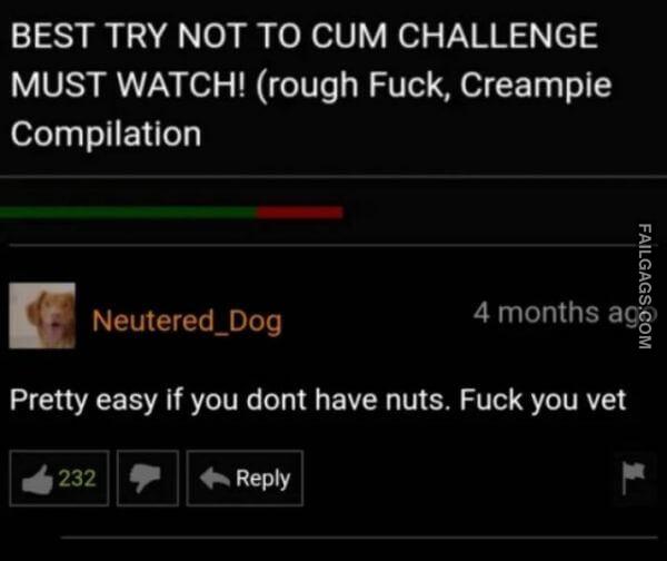 funny Pornhub Comments 8