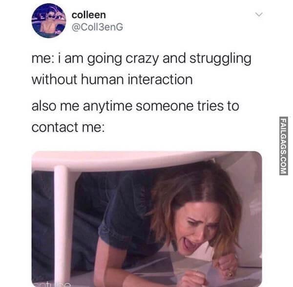 funny Quarantine Memes 10