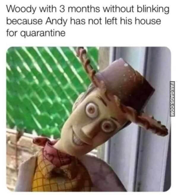 funny Quarantine Memes 11