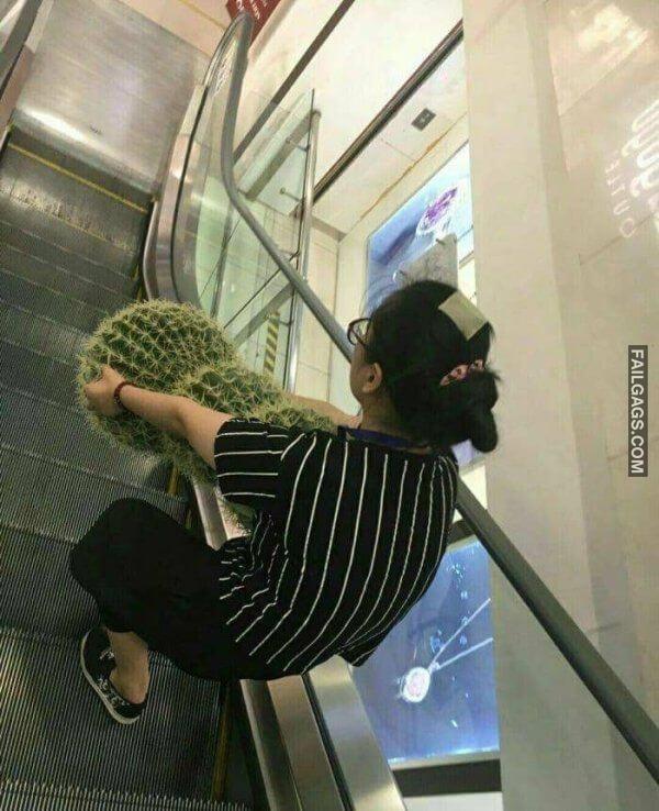 People Doing Stupid Things 2