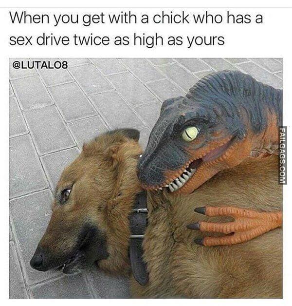 Random Funny Memes 1 3