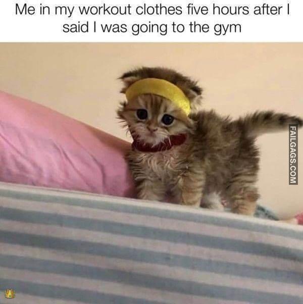 Random Funny Memes 11 4