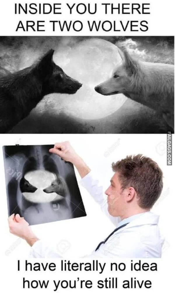 Random Funny Memes 13 2