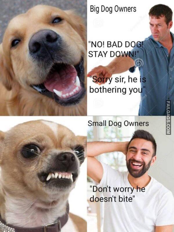 Random Funny Memes 13 6