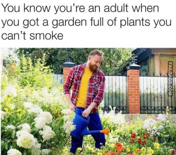 Random Funny Memes 13