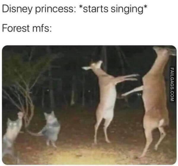 Random Funny Memes 15 1