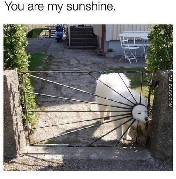 Random Funny Memes 16 3