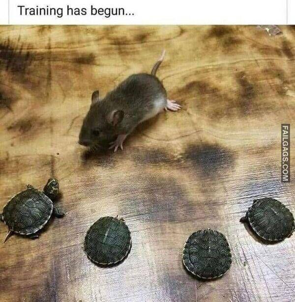 Random Funny Memes 19 3