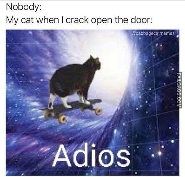 Random Funny Memes 2 4