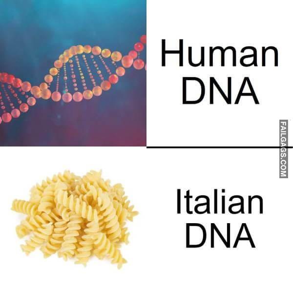 Random Funny Memes 3 6