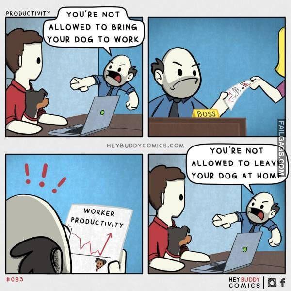 Random Funny Memes 4 2