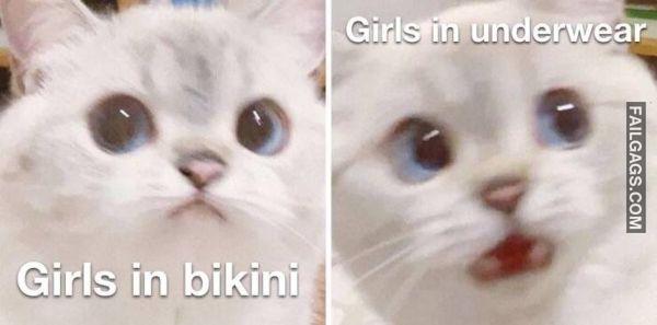 Random Funny Memes 5