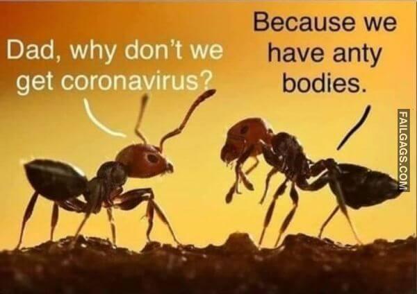 Random Funny Memes 6 3