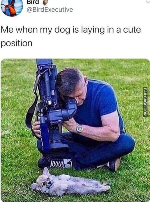 Random Funny Memes 7 2