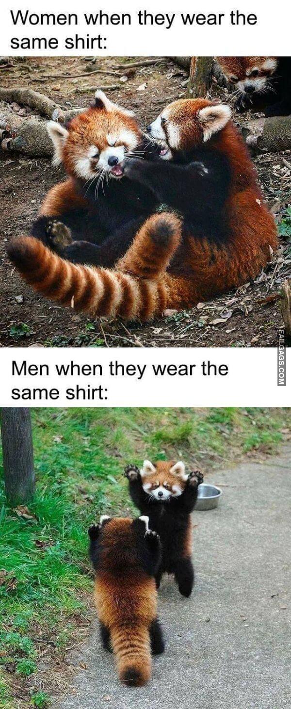 Random Funny Memes 7 3