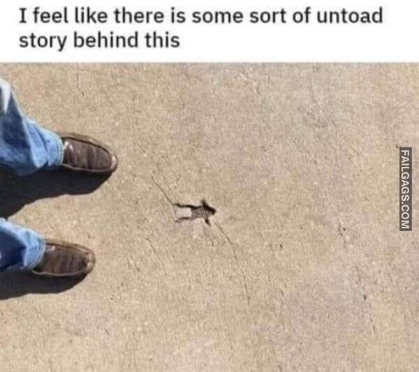 Random Funny Memes 7