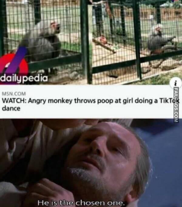 Random Funny Memes 8 1