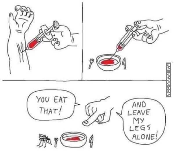 Random Funny Memes 8 2