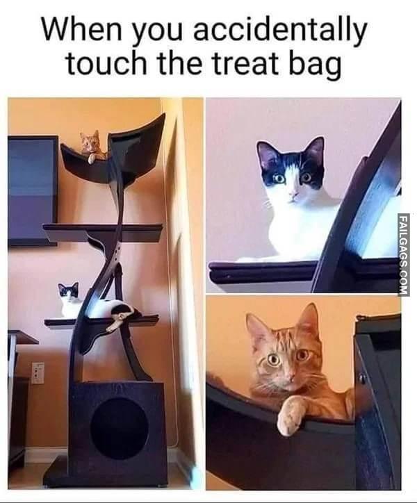 Random Funny Memes 8 7