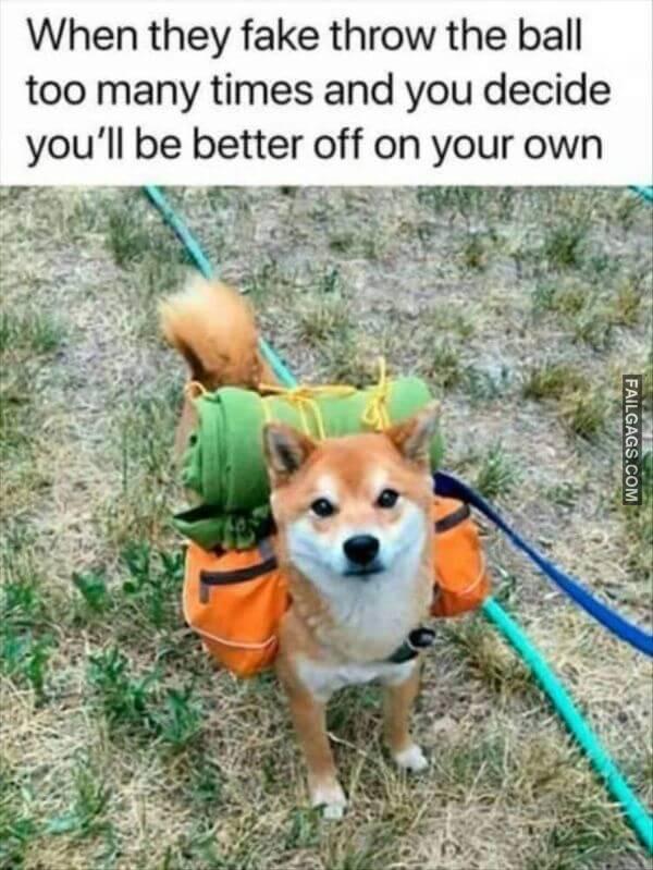 Random Funny Memes 9 6