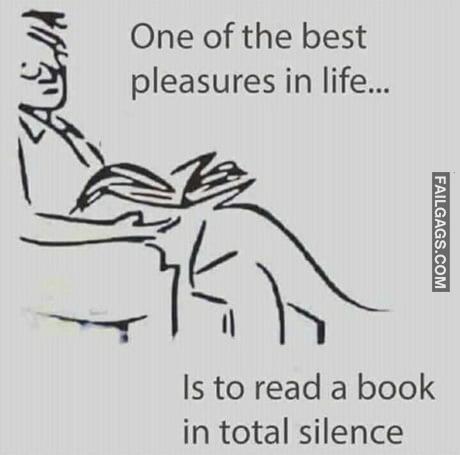 One of the Best Pleasures in Life... Is to Read a Book in Total Silence Meme