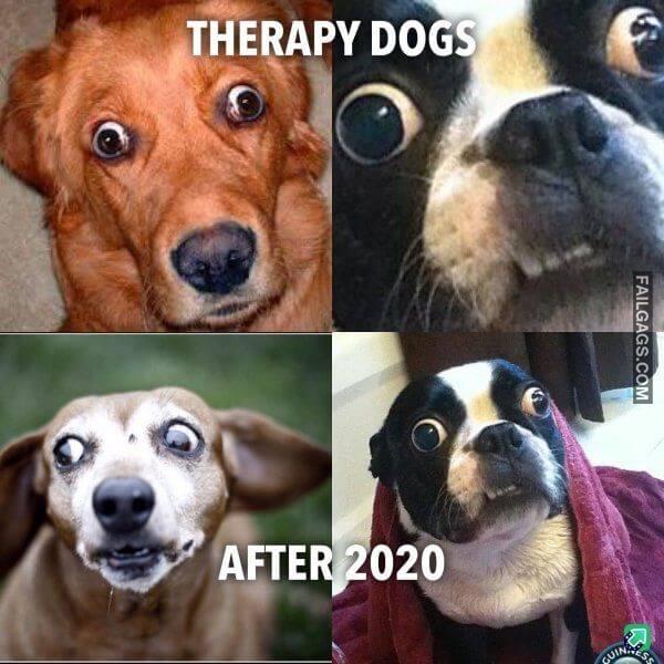 funny Memes About 2020 1