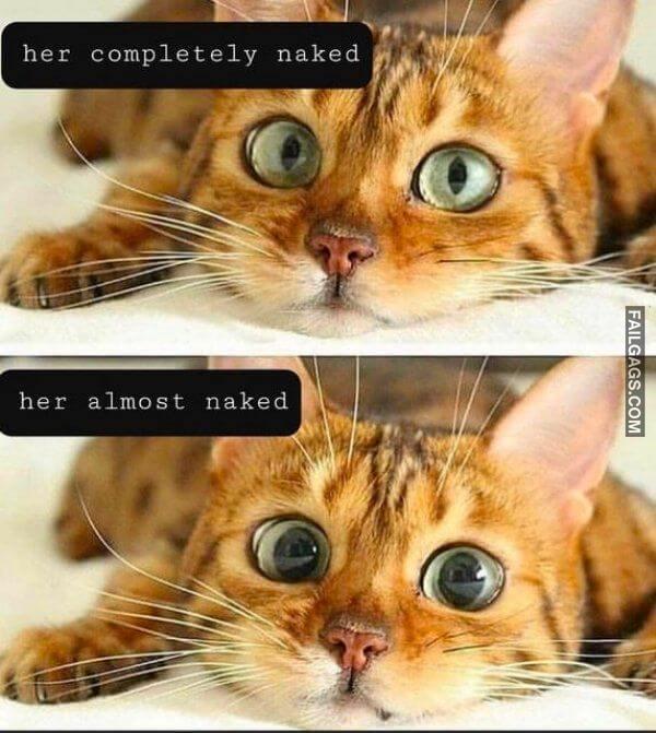 funny Memes For Grown Ups 11