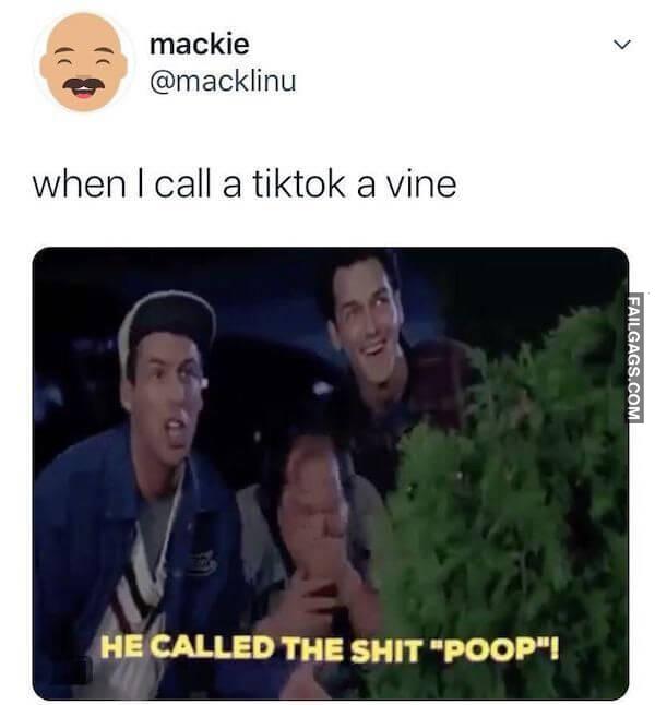 funny TikTok Memes 2