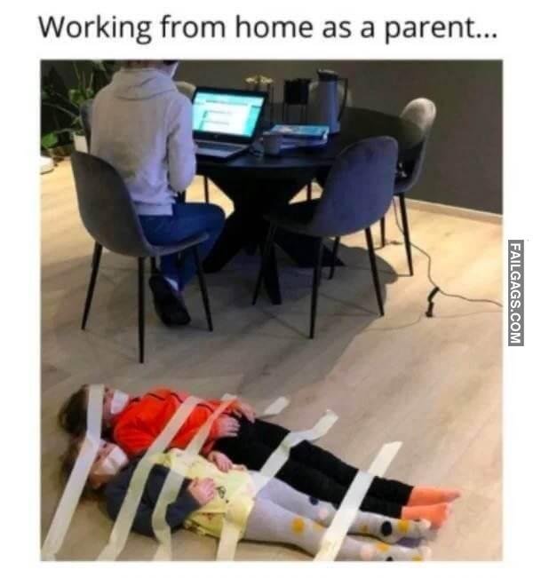 funny Work From Home Memes 13