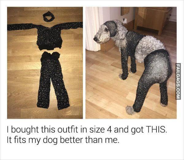 Expectations Vs Reality 11