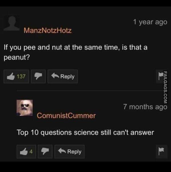 Funny Pornhub Comments 4