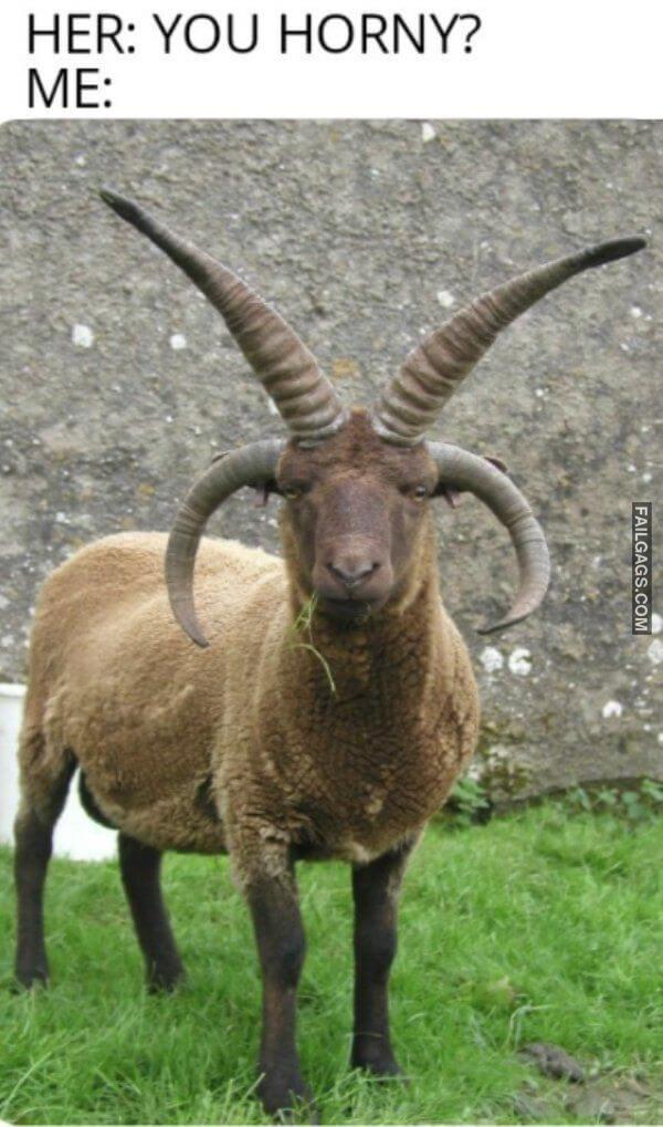 Memes For Grown Ups 8