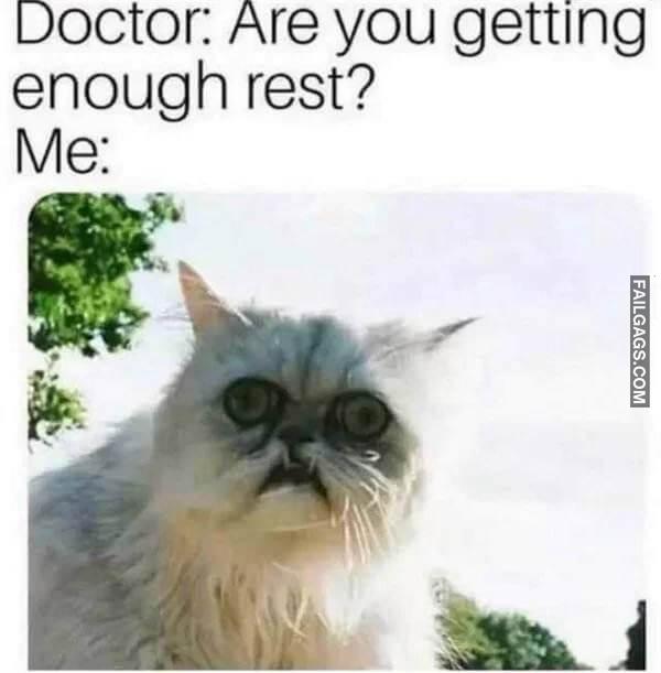 Random Funny Memes 0 1